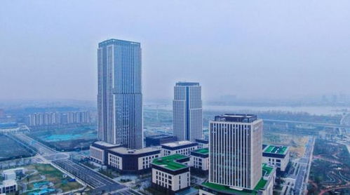 揚(yáng)州生態(tài)科技新城三項目入選省重點清單，以軟件驅(qū)動“兩業(yè)融合”新篇章