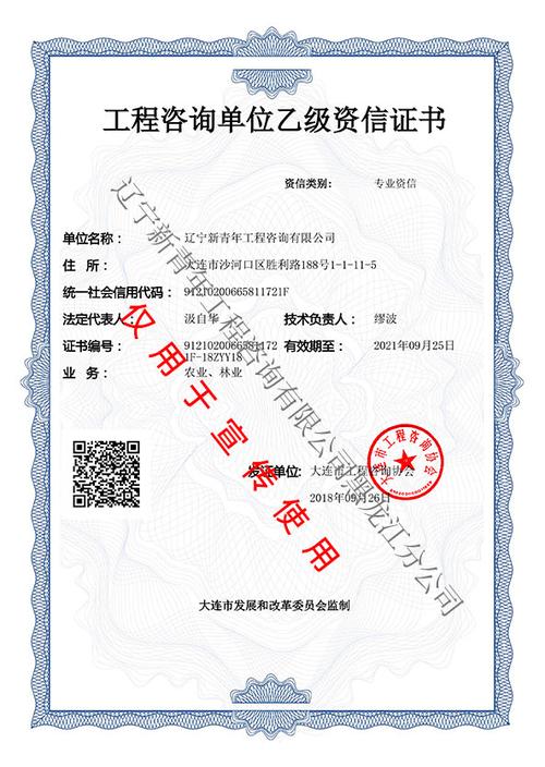 遼寧新青年工程咨詢黑龍江分公司 經濟信息咨詢的專業力量與區域實踐
